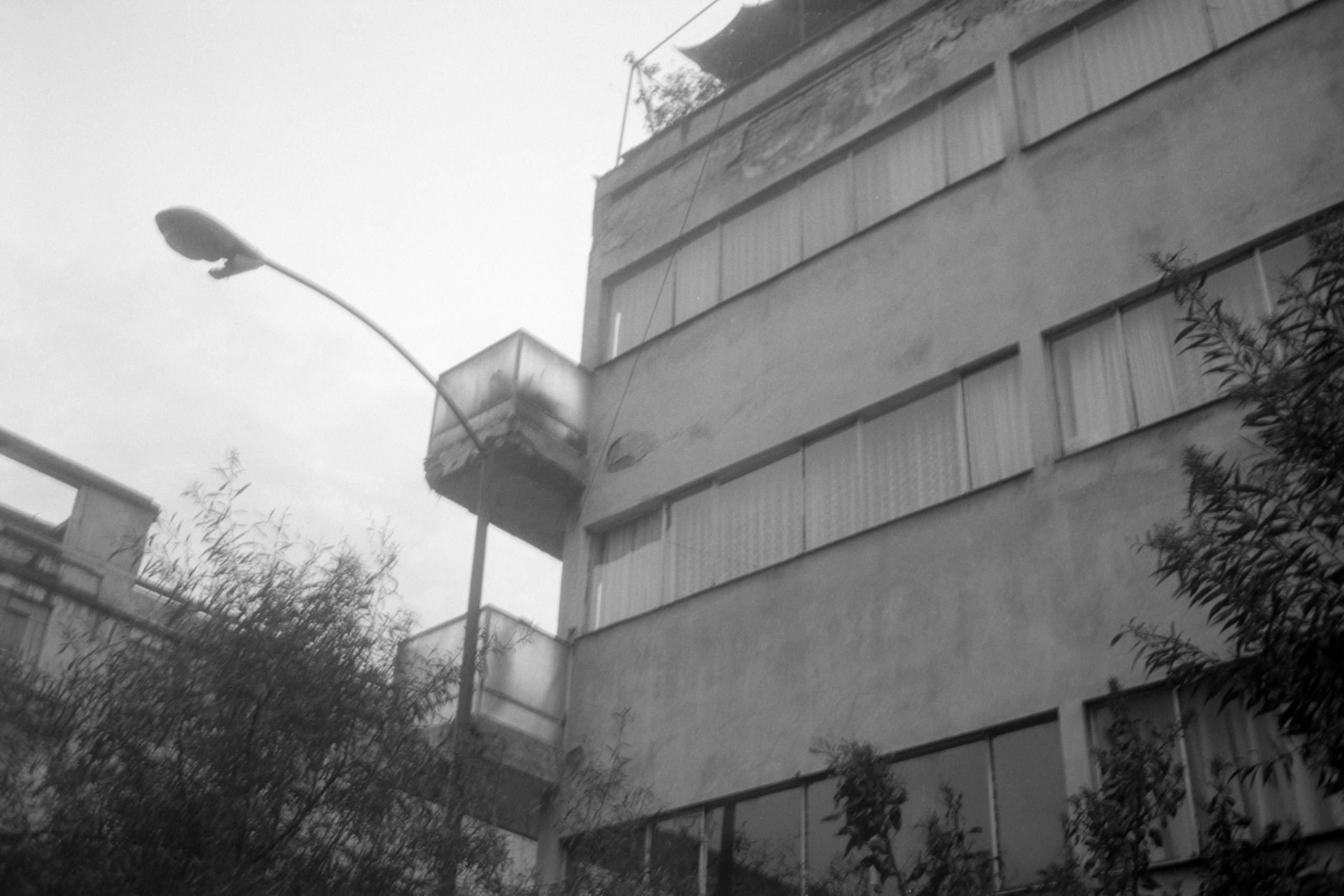 AHP FilmScan 240807 0585